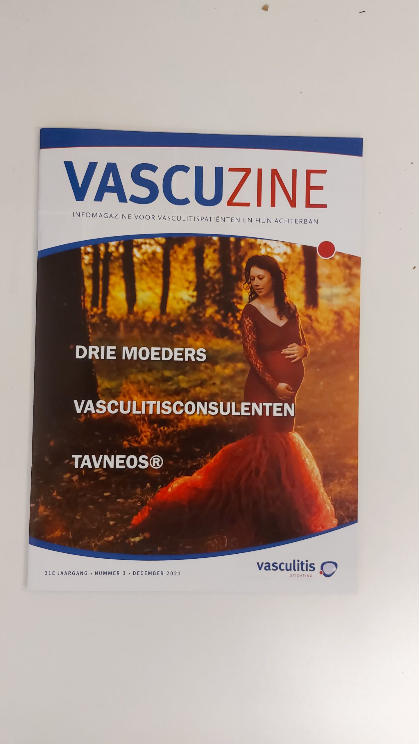 2021 – Nr. 3 – Vascuzine Magazine