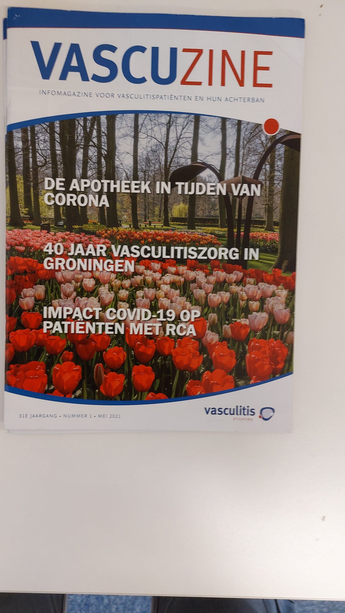 2021 – Nr. 2 – Vascuzine Magazine