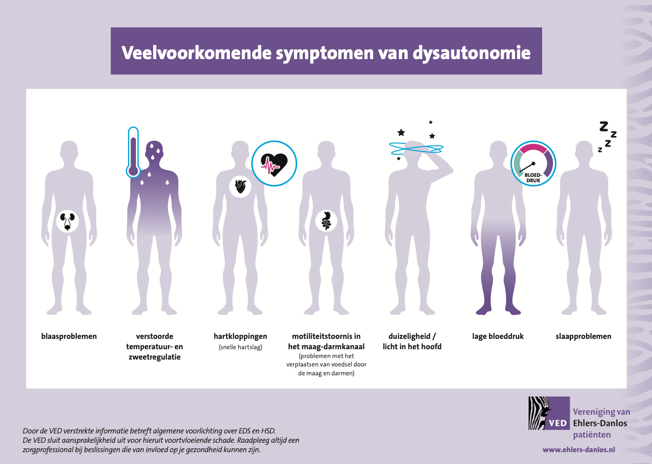 Infographic – Veelvoorkomende symptomen van dysautonomie (A4)