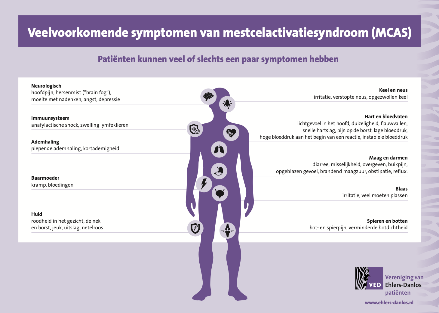 Infographic – Veelvoorkomende symptomen van mestcelactivatiesyndroom (A4)
