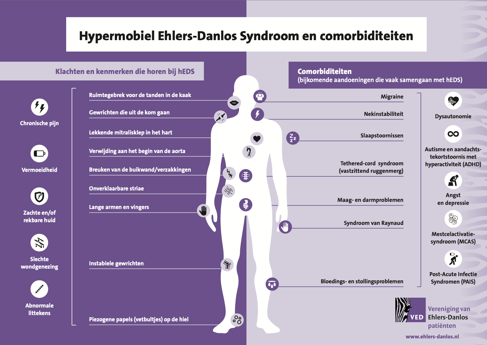 Infographic – Hypermobiel Ehlers-Danlos Syndroom en Comorbiditeiten (A4)