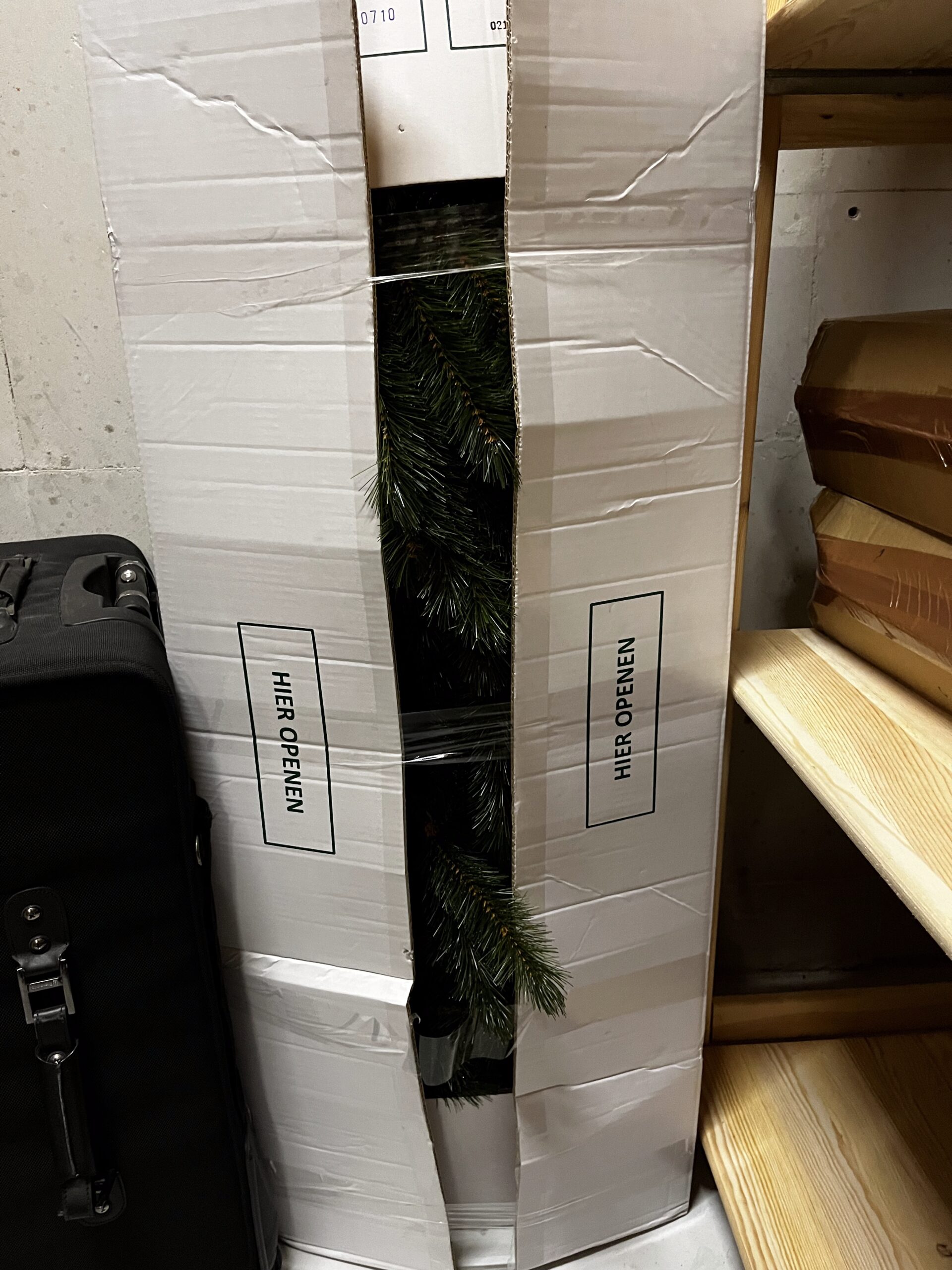 Kerstbomen