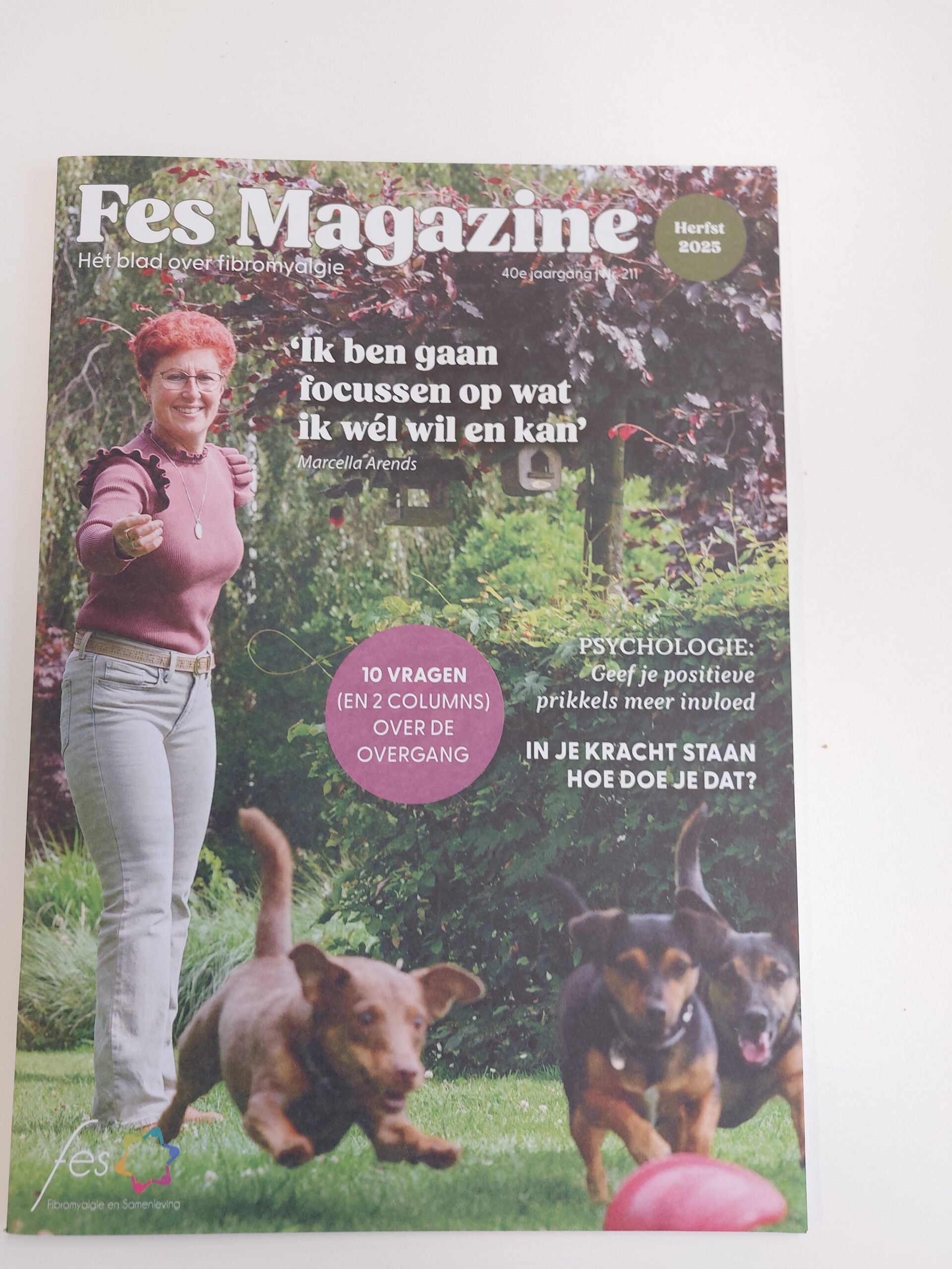 FES magazine 211 – herfst 2025 (gratis)