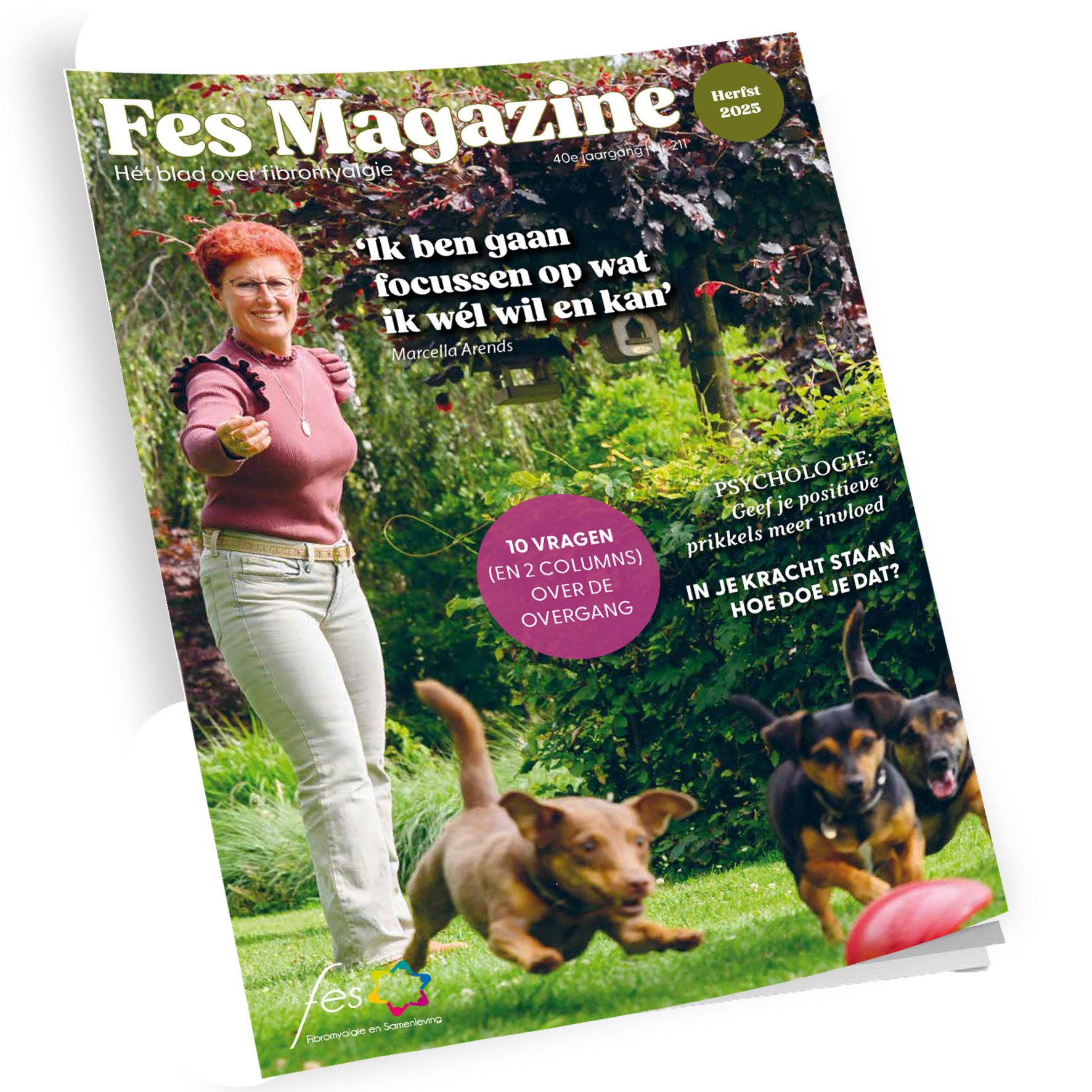 FES magazine 211 – herfst 2025
