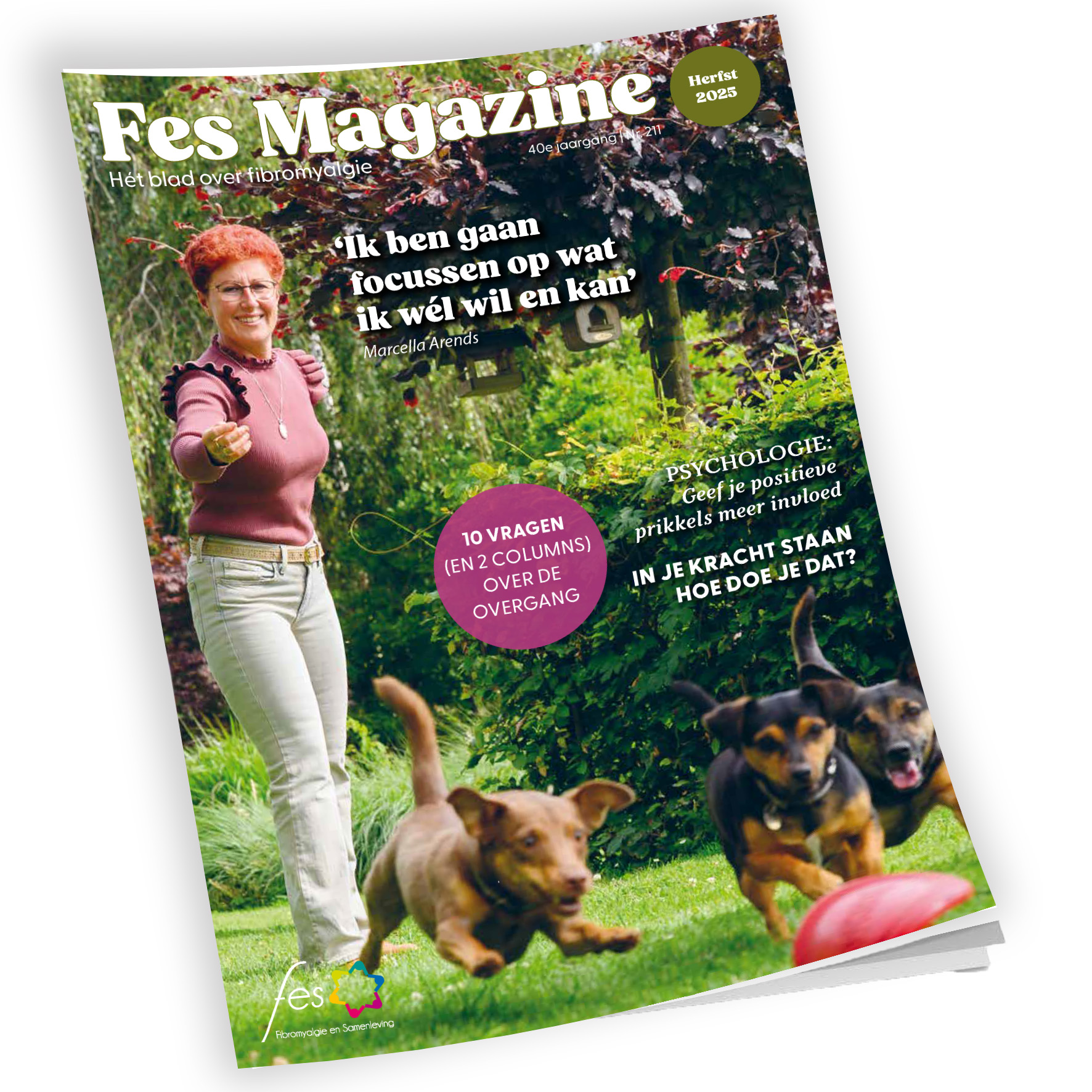 FES magazine 211 – herfst 2025 (gratis)