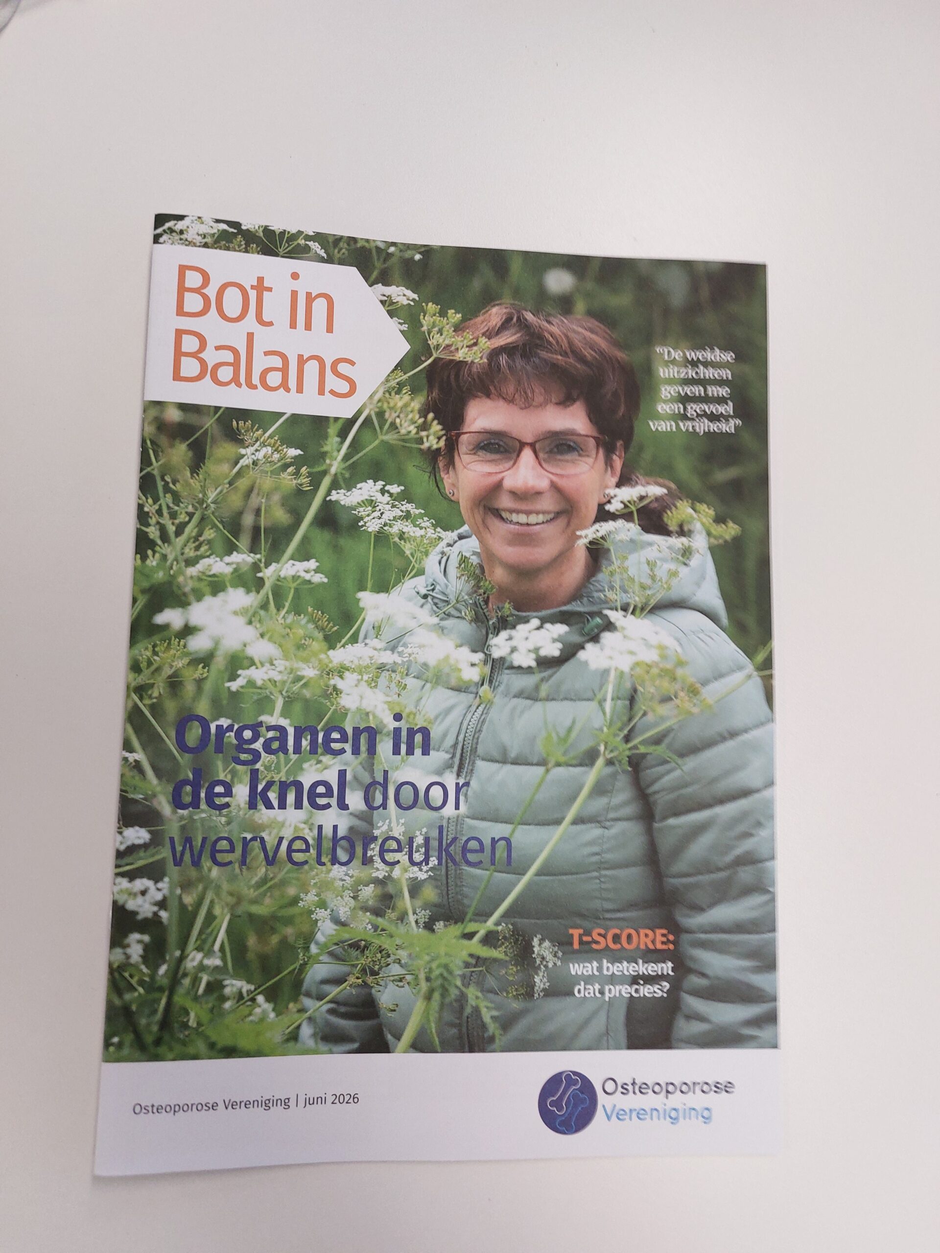 2026 – Nr. 2 juni – Bot in Balans