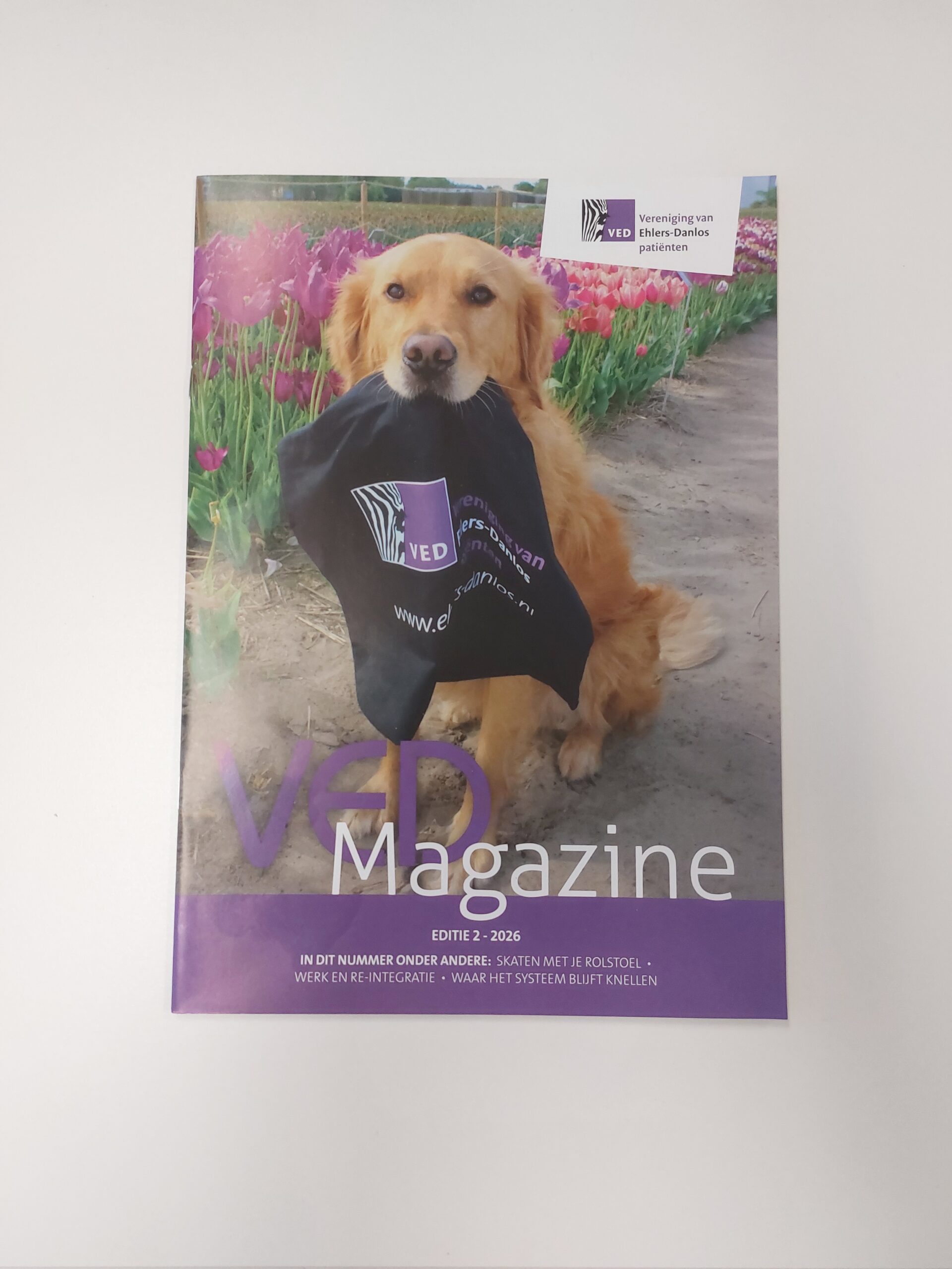 2026- Nr. 2- VED Magazine